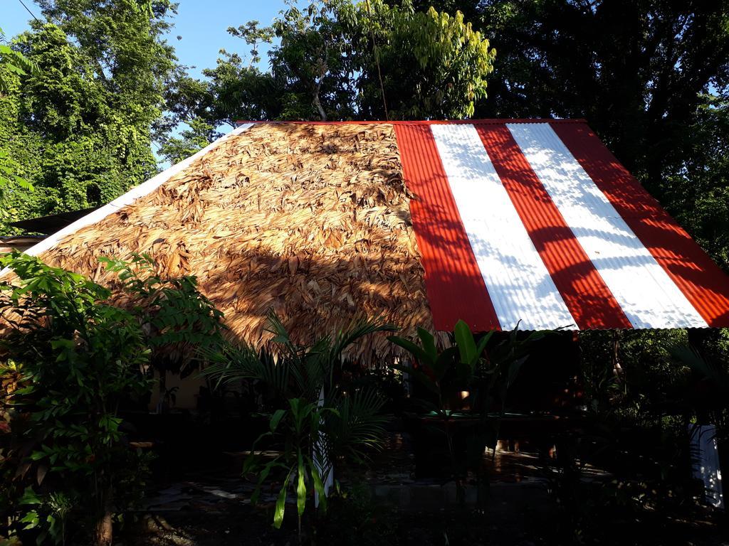 Talamanca Cabins กาอุยตา ภายนอก รูปภาพ