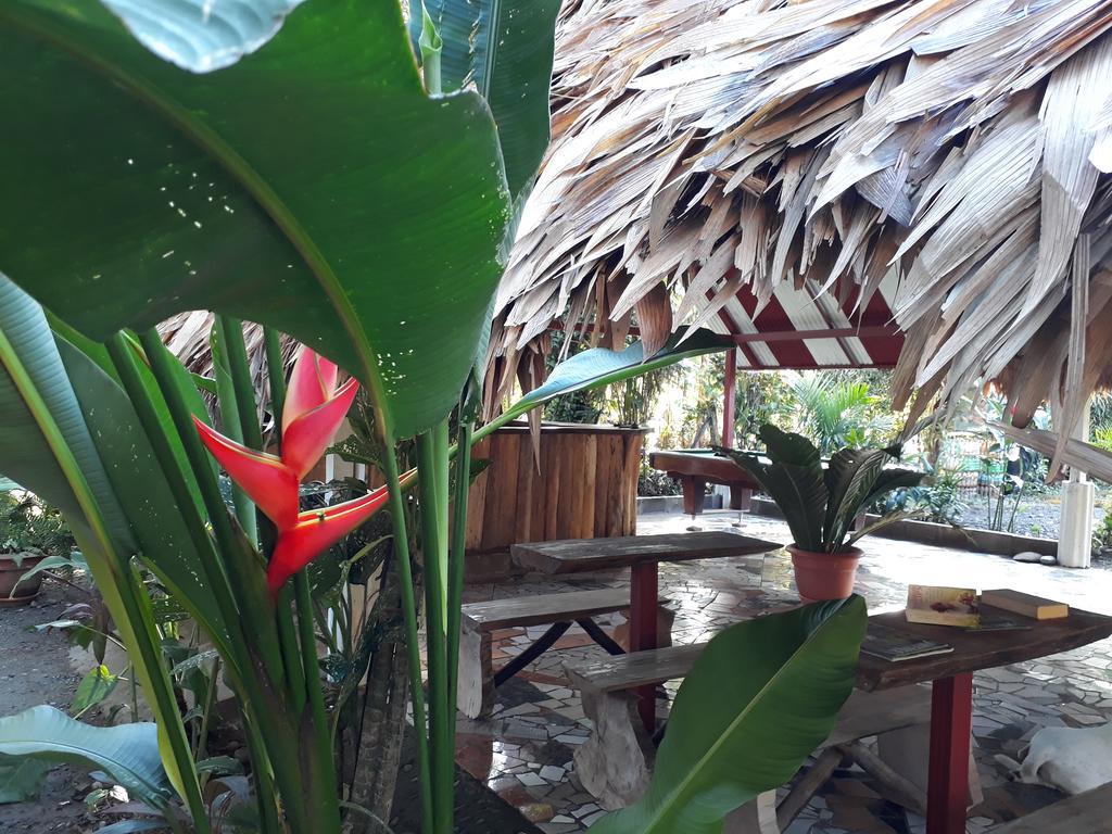Talamanca Cabins กาอุยตา ภายนอก รูปภาพ